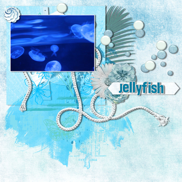 Jellyfish
