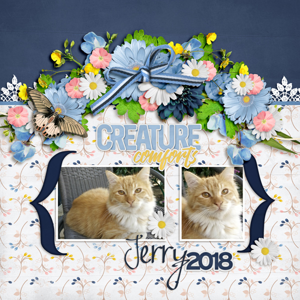 Jerry 2018