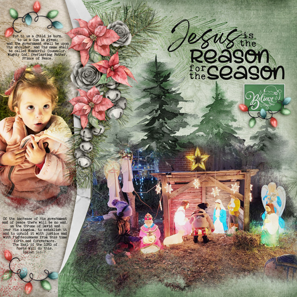 Jesus is the Reason...