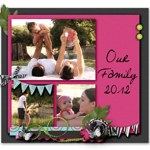 jewel case insert