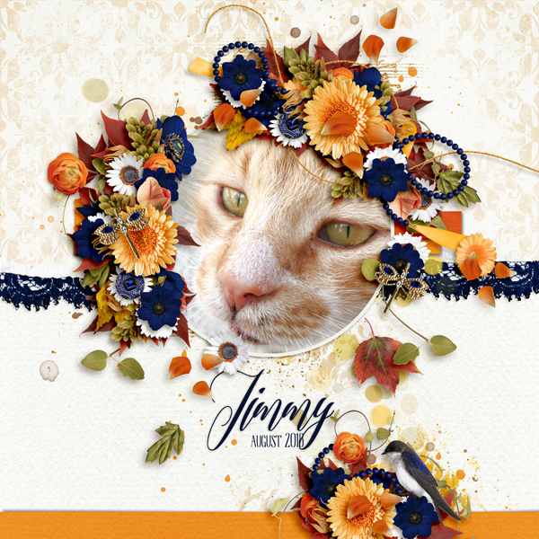Jimmy August 2018