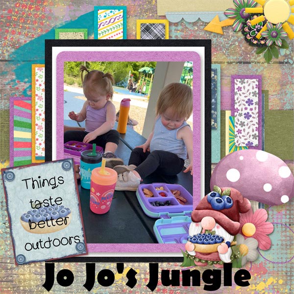 Jo_Jo_s_Jungle_Wren_R