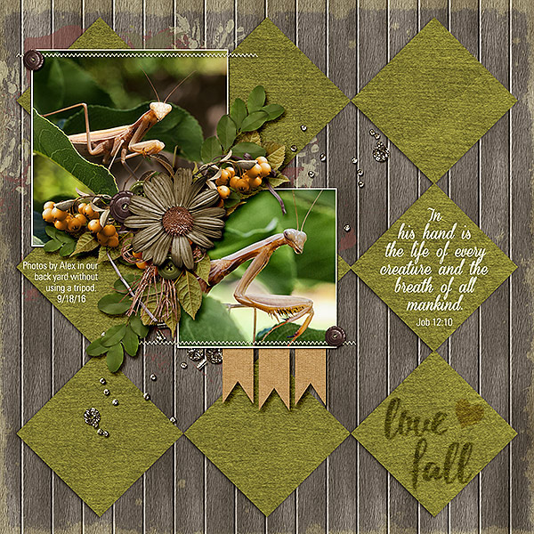 Job 12:10; Love Fall