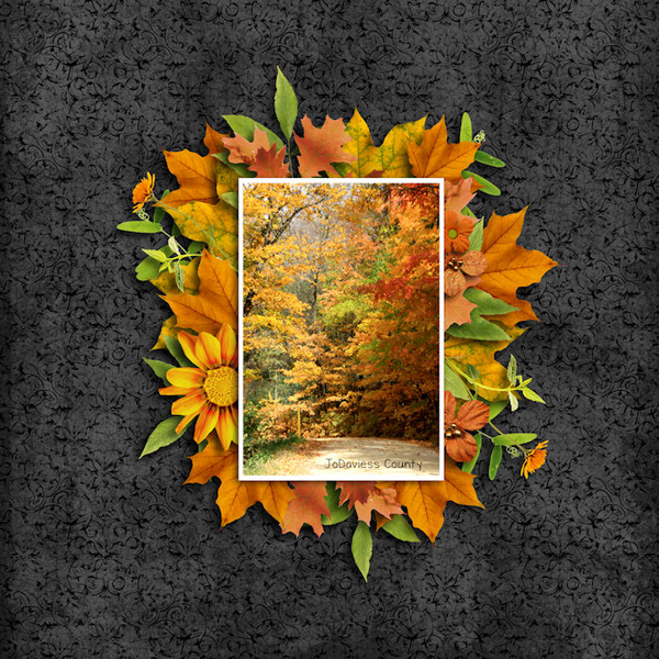 JoDaviess County Fall
