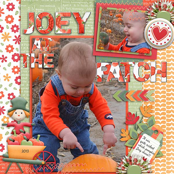 Joey at the Patch