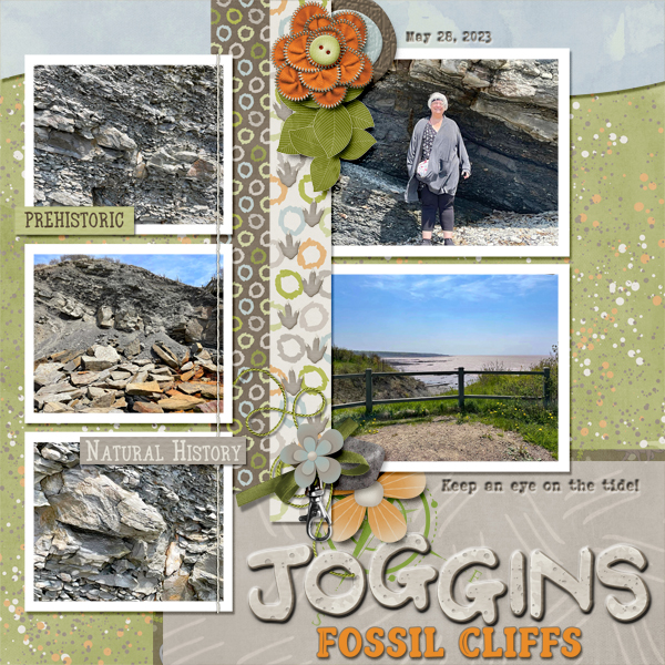 Joggins Fossil Cliffs