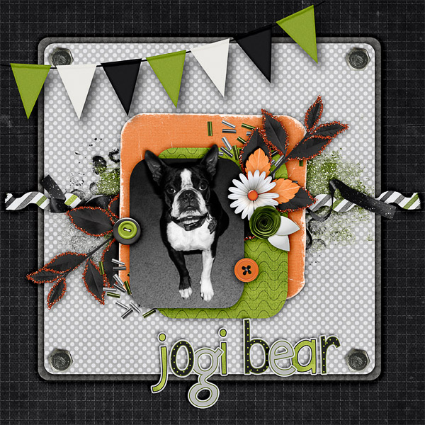 Jogi Bear