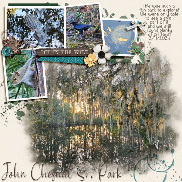 John Chesnut Sr Park