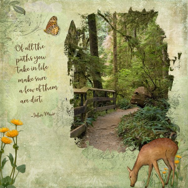 John-Muir-Quote
