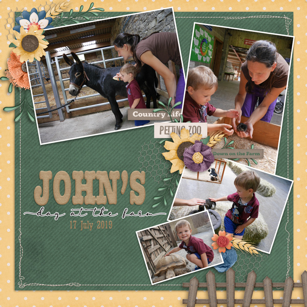 John's Day at the Farm