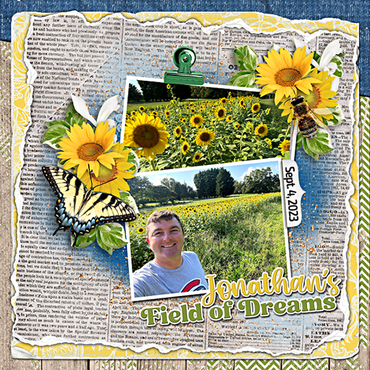 Jonathan sunflower field 2023