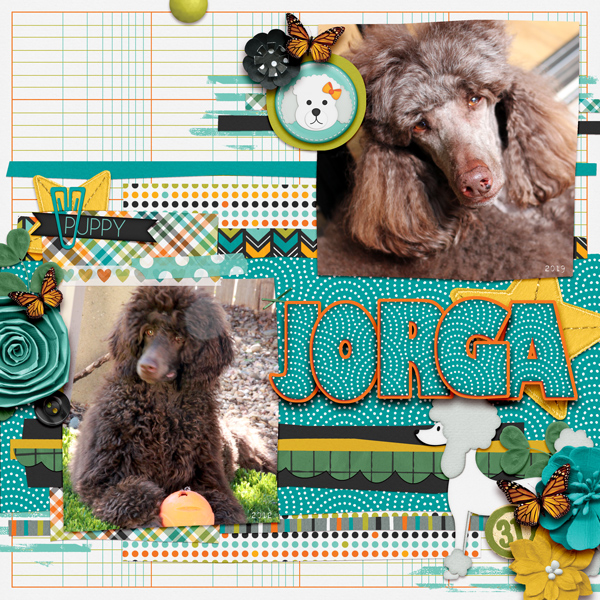 Jorga