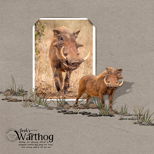Joshs Warthog