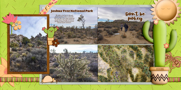 Joshua Tree National Park