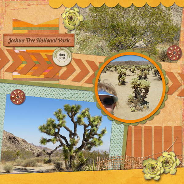 Joshua Tree National Park