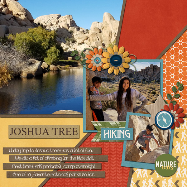 Joshua Tree