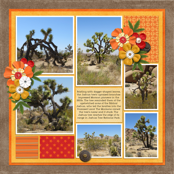 Joshua Tree