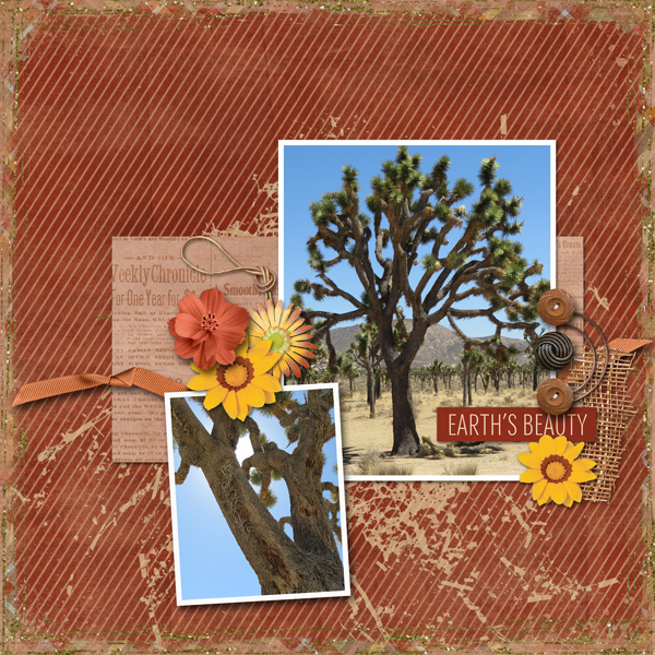 Joshua tree