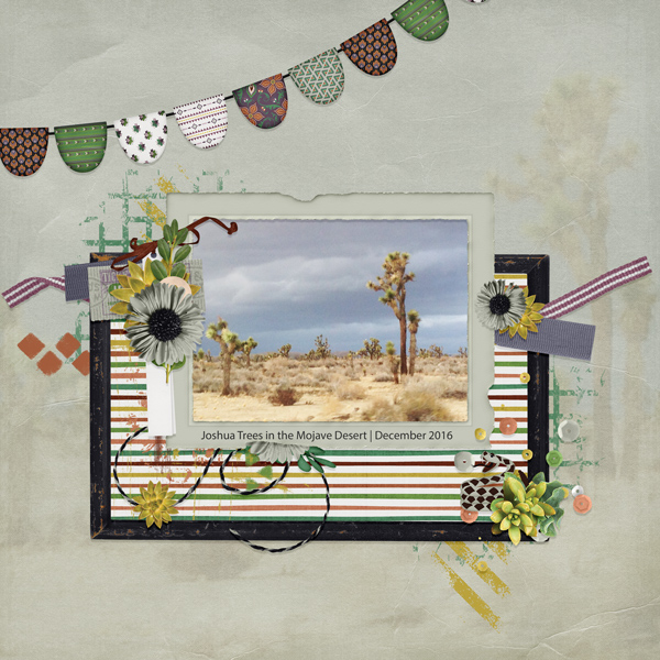 Joshua Trees