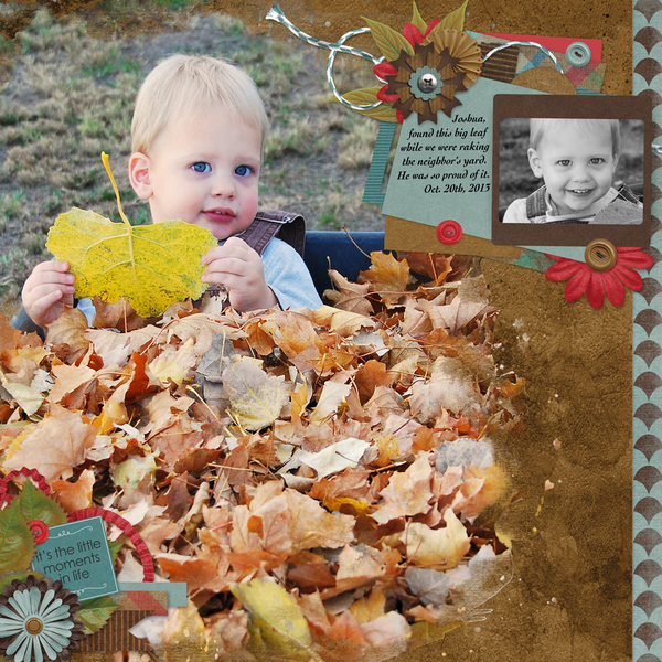 Joshua's Big Leaf