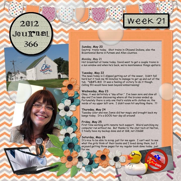 Journal 366, Week 21