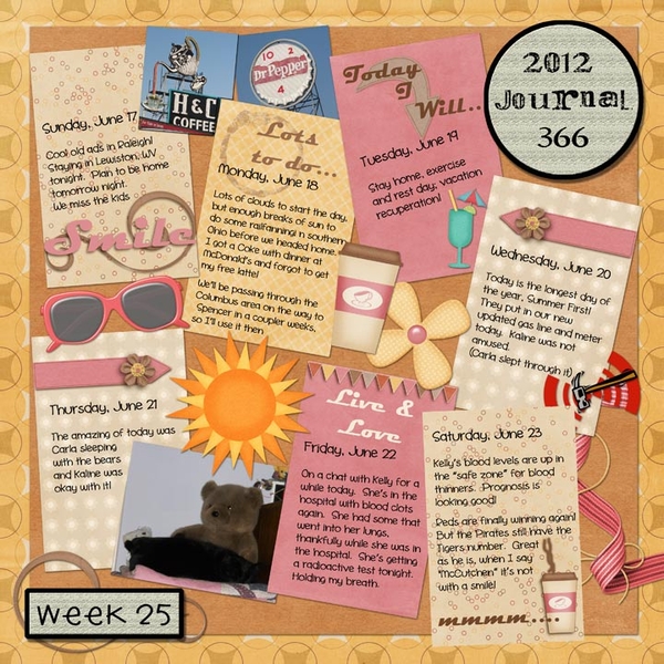 Journal 366, Week 25