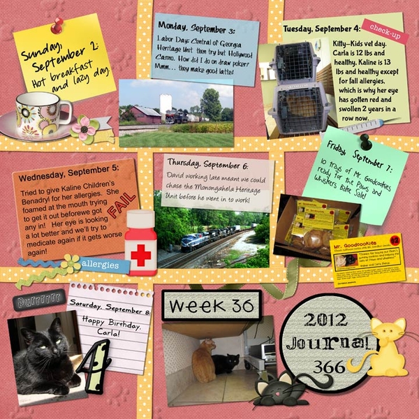 Journal 366, Week 36