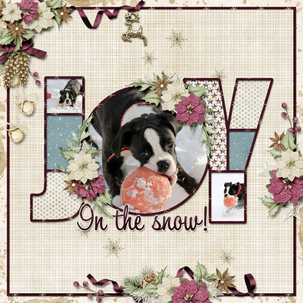 Joy in the snow