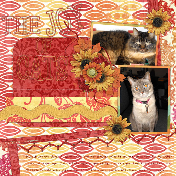 joy of cats