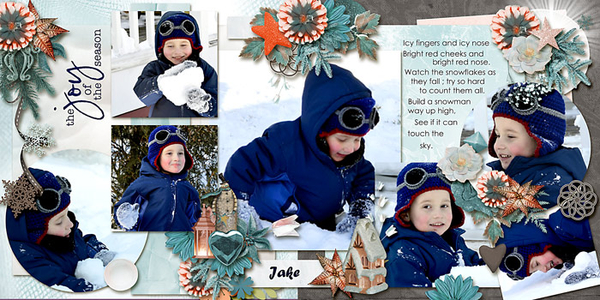 Joy of Snow