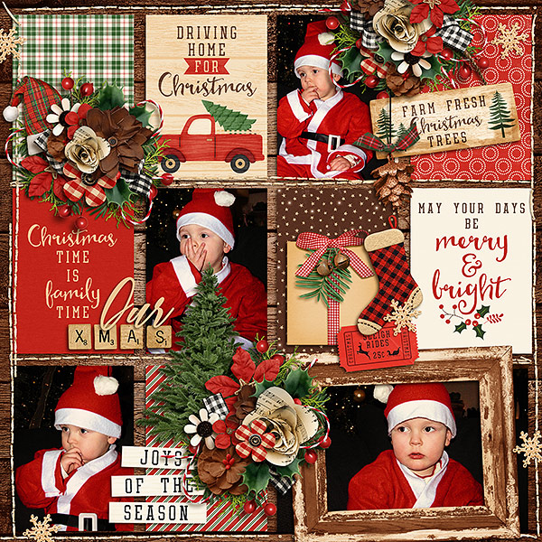 joy of the season