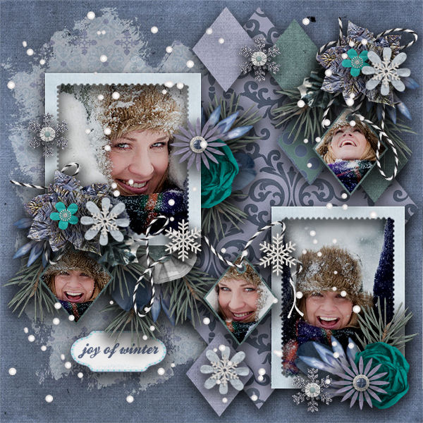 Joy Of Winter