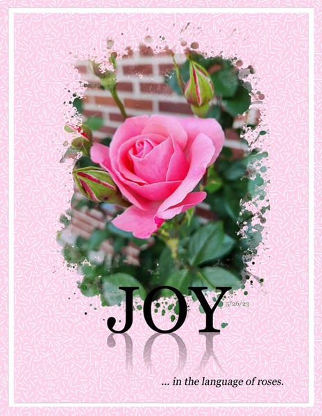 Joy