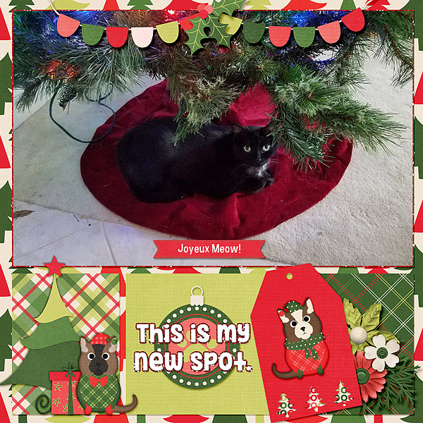 joyeux-meow