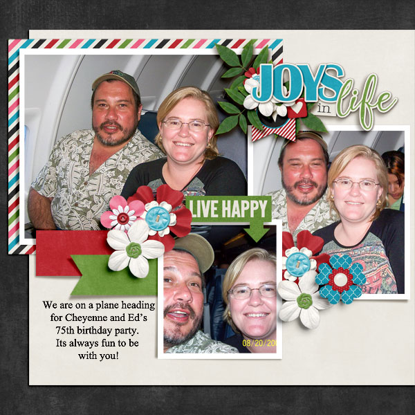 Joys in Life