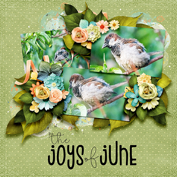 Joys of June