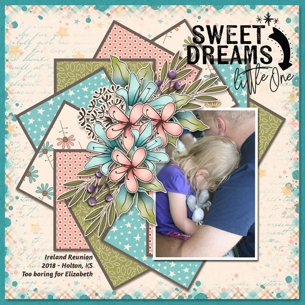 JSD Layout_2018-Elizabeth-Ireland-Reunion