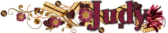 Judy Siggy