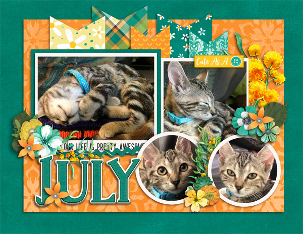 July 2019 Calendar