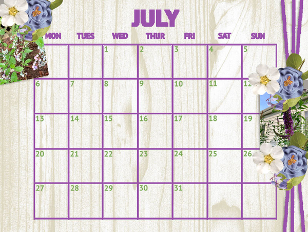 July 2020 Desktop Challenge