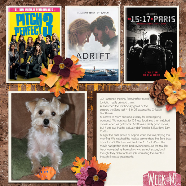 July 2020 Storytelling Challenge