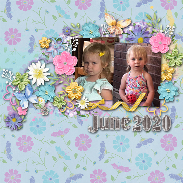 July 2020 Template Challenge #1