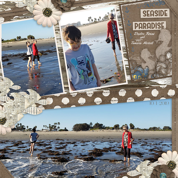 July 2021 Template Bundle Sale Connie Prince