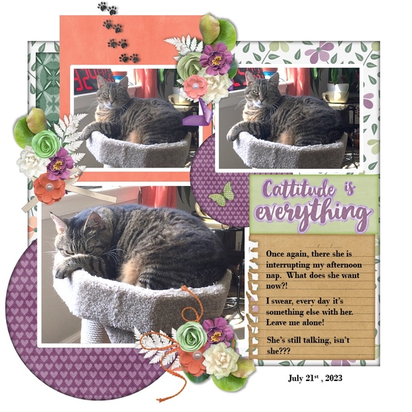 July 2023 Template #2 Challenge