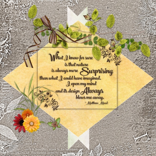 July 2023 Use It All Challenge