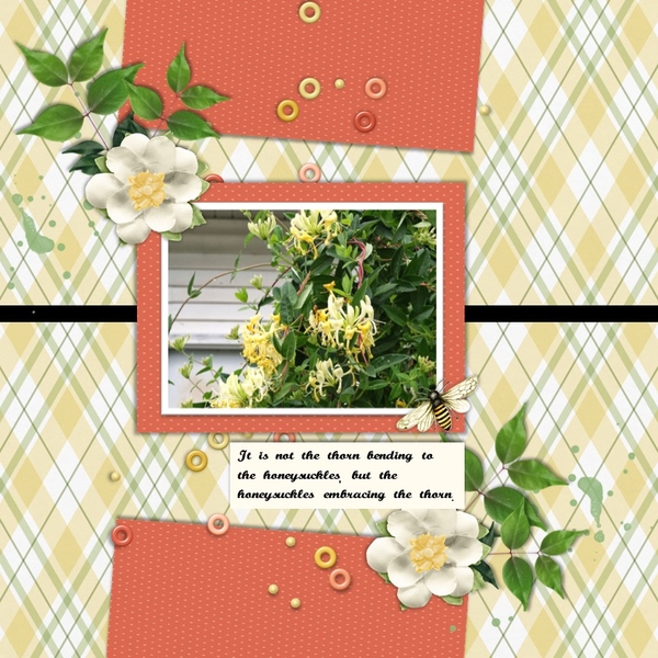 July 2024 Template #3 Challenge