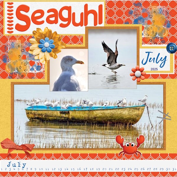July-2025-July In Review-Seaguhl's.jpg