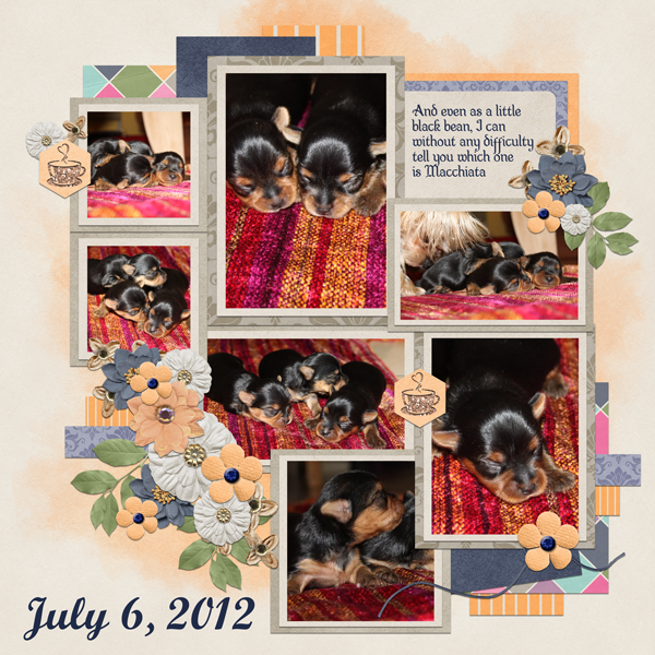 July 6 2012