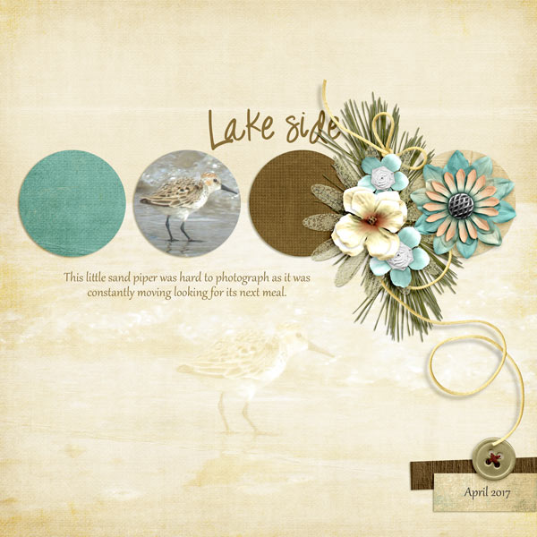 July DDL challenge - Lake Side
