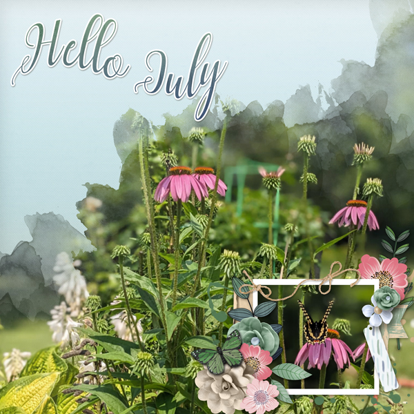 July flowers